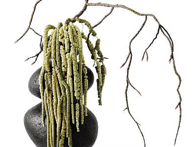 Stylish Ornamental Decor Combination With Black Stone Bases Green Plants And Natural Branches 3d model
