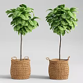 Two Green Bonsai Potted Plants in Wicker Baskets with Handles Decoration