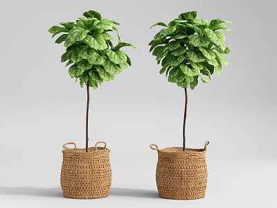 Two Green Bonsai Potted Plants in Wicker Baskets with Handles Decoration 3d model
