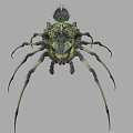 Intricate Reptile With Spiked Head Many Legs And Detailed Green Dark Patterns