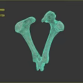 Knee Bone Leg Bone Joint PBR Model Game Model Game Item 3d model