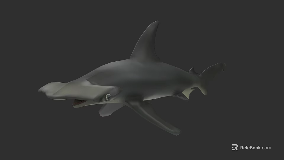 Detailed Hammerhead Shark 3D Model Showcasing Distinctive Head Shape And Fins 3d model 