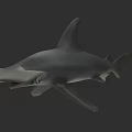 Detailed Hammerhead Shark 3D Model Showcasing Distinctive Head Shape And Fins