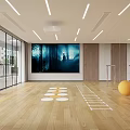 Bright Fitness Studio with Yoga Balls Wooden Floor Mirror Walls Bookshelves and Windows