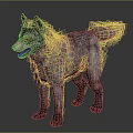 Realistic Gray Wolf 3D Model Standing On Dark Background 3d model