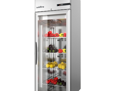 Freezer Refrigerator model