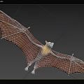 Flying Bat With Spread Wings Soaring Through Green Forest Canopy 3d model