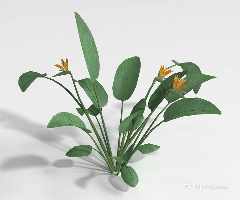Lush Green Shrub With Vibrant Orange Flowers And Leafy Foliage For Garden 3d model 