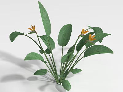 Lush Green Shrub With Vibrant Orange Flowers And Leafy Foliage For Garden 3d model
