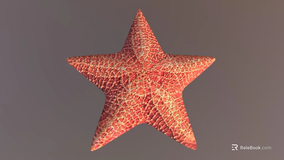 Red Orange Starfish With Detailed Textured Surface On Gray Background 3d model 