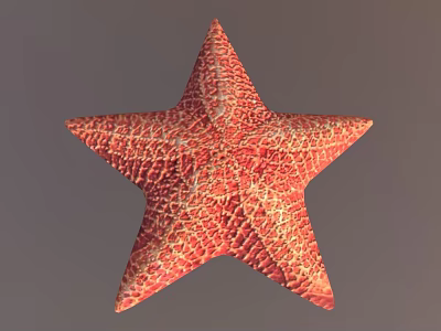 Red Orange Starfish With Detailed Textured Surface On Gray Background 3d model