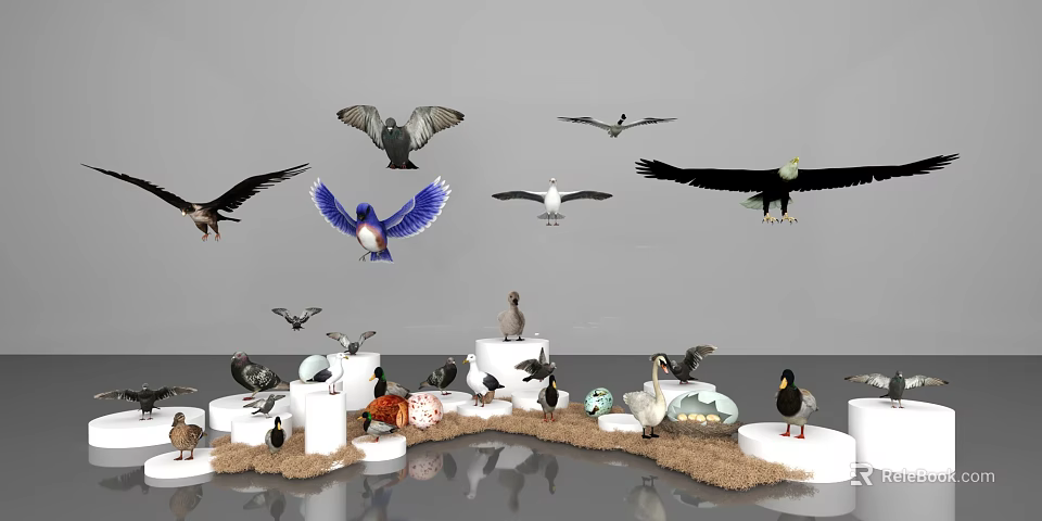 Flying Animals Including Eagles Pigeons Kingfishers Ducks Swans With Eggs On White Pillars Sandy Ground 3d model 