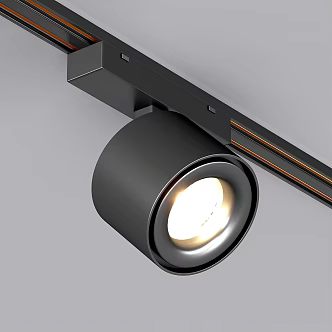 Track Spotlight 3d model