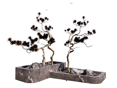 New Chinese Bonsai Welcome Pine Dried Branch Landscape Flower Pond model