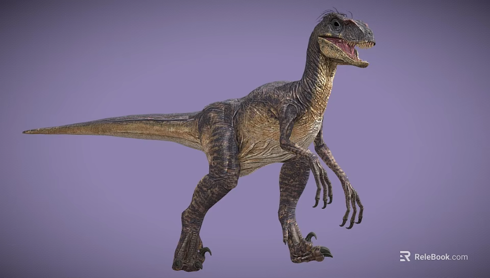 Realistic Reptile Velociraptor Dinosaur In Standing Posture With Sharp Claws Open Mouth And Purple Background 3d model 