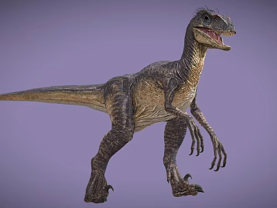 Realistic Reptile Velociraptor Dinosaur In Standing Posture With Sharp Claws Open Mouth And Purple Background 3d model
