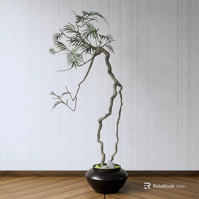 Bonsai Plant With Curved Trunk And Green Foliage In Dark Pot For Indoor Decor 3d model 