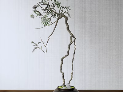 Bonsai Plant With Curved Trunk And Green Foliage In Dark Pot For Indoor Decor 3d model