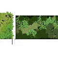Lush Green Wall Design With Various Plant Species For Indoor Decor