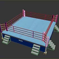 Standard Boxing Ring Structure With Blue Mat Surface Roped Barriers And Side Steps