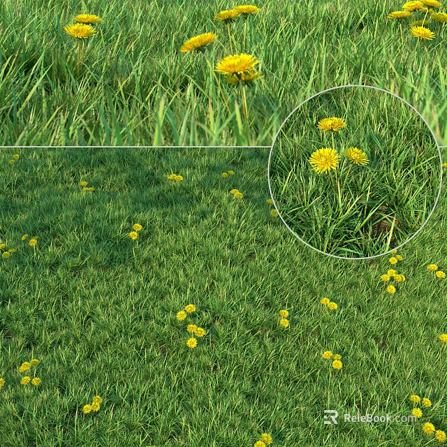 Green Grass Field With Yellow Flowers Blooming In Natural Outdoor Environment 3d model 