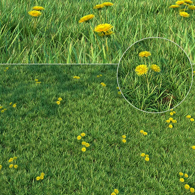 Green Grass Field With Yellow Flowers Blooming In Natural Outdoor Environment 3d model