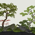 Pine Tree Styling Tree Landscape Stone Micro Terrain Landscape Tree 3d model