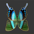 Vibrant Butterfly With Green And Blue Iridescent Wings And Reflection On Dark Background