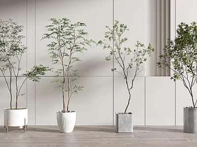 Various Leafy Bonsai Potted Plants in Modern Ceramic Pots for Interior Decor 3d model