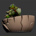 Cracked Ceramic Succulent Planter With Green Red Edge Plants And Small Pebbles