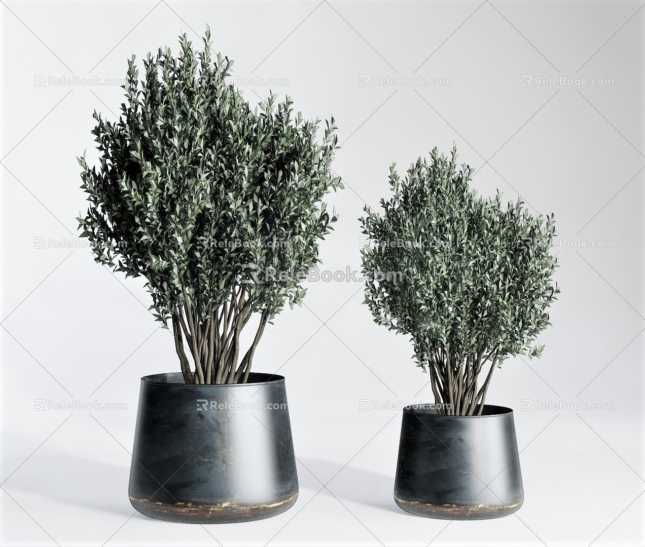 Modern potted plant flowerpot plant ornaments rosemary 3d model