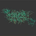 Dry Grass With Light Brown And Golden Thin Sparse Growth Against White Background