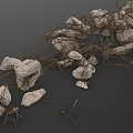 Natural Wood Pieces and Stone Chunks with Twisted Vines and Loose Dirt