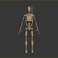 Wooden Humanoid Robot Figure With Light Brown Color And Gray Background