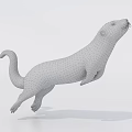 Otter Aquatic Animal 3D Model Leaping With Smooth Fur On White Background