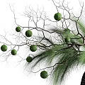 Dark Earthenware Vase With Branches Pine Needles And Green Round Fruits