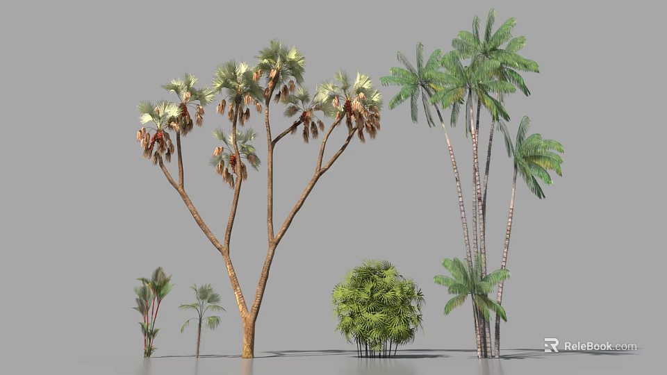 Various Types Of Arbor Trees With Different Leaf Shapes And Trunk Structures 3d model 