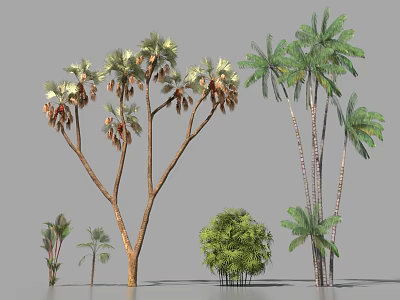Various Types Of Arbor Trees With Different Leaf Shapes And Trunk Structures 3d model