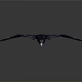 Majestic Black Crow Flying With Spread Wings Against Gray Background