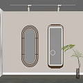 Elegant Oval And Rectangular Wall Mirrors With Gold Metal And Wooden Frames And Green Plant
