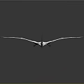 Realistic Prehistoric Pterosaur Animal With Outstretched Wings And Long Beak Flying Model