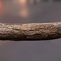 Natural Wooden Log with Rough Bark Texture and Authentic Wood Grain Details