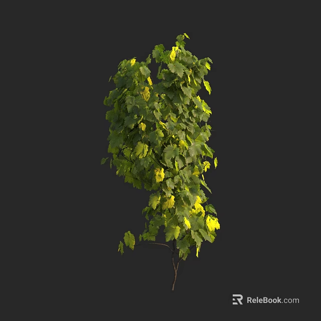 Lush Green Vine With Yellow Accents And Natural Growing Pattern 3d model 