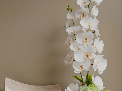 Elegant Potted Bonsai Plant With White Orchids And Green Stems Leaves For Home Decor 3d model