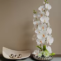 Elegant Potted Bonsai Plant With White Orchids And Green Stems Leaves For Home Decor