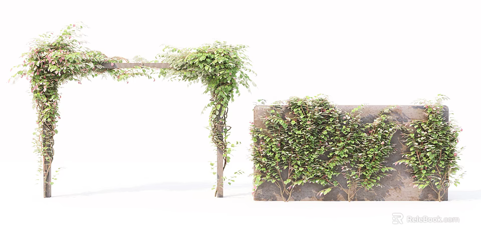 Vines with Green Leaves Climbing on Wooden Trellis and Stone Wall 3d model 