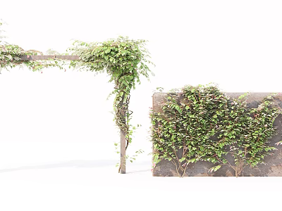 Vines with Green Leaves Climbing on Wooden Trellis and Stone Wall 3d model