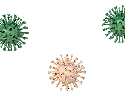 Virus Microorganism Bacteria 3d model Virus Microorganism Bacteria 3d model