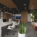 Modern Public Office Space With Large Green Plants Wooden Partitions And Meeting Table
