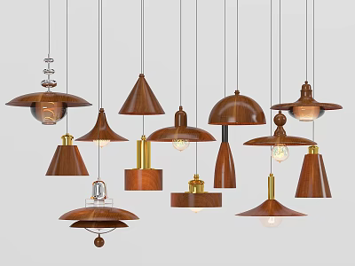 Wooden Pendant Lights with Various Shapes and Unique Designs Hanging in Modern Interior Space 3d model